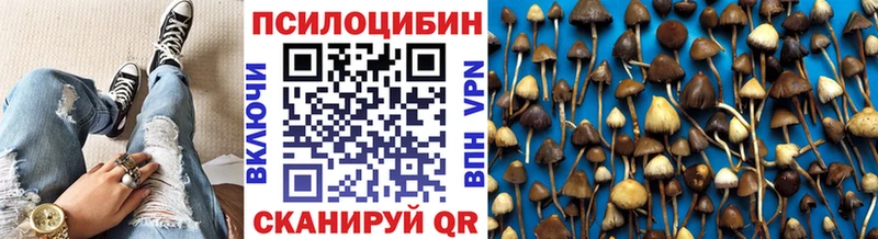 купить наркотик  Шадринск  Галлюциногенные грибы GOLDEN TEACHER 